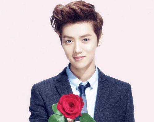 鹿晗学生爆料是真的吗视频,鹿晗学生爆料视频真实性揭秘 第1张 鹿晗学生爆料是真的吗视频,鹿晗学生爆料视频真实性揭秘 第1张